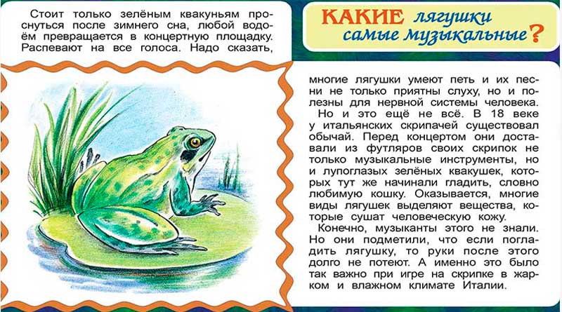 Какие лягушки самые музыкальные?