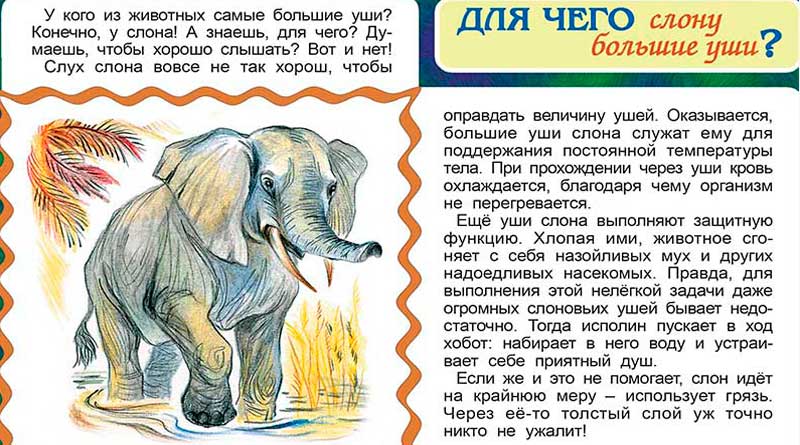 Для чего слону большие уши?