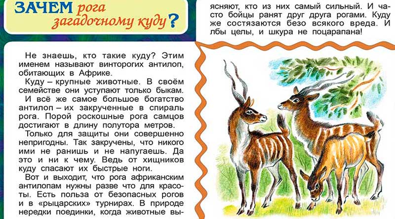Зачем рога загадочному куду?