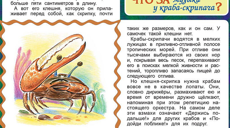 Что за музыка у краба-скрипача?