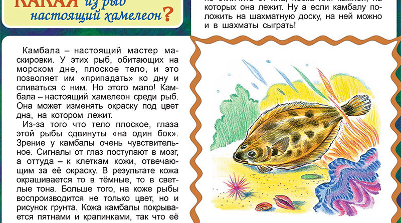 Какая из рыб настоящий хамелеон?