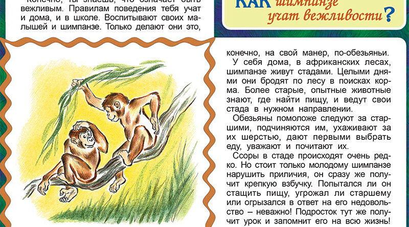 Как шимпанзе учат вежливости?